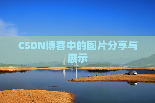 CSDN博客中的图片分享与展示